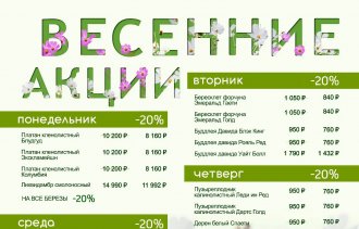 !�������� �����!