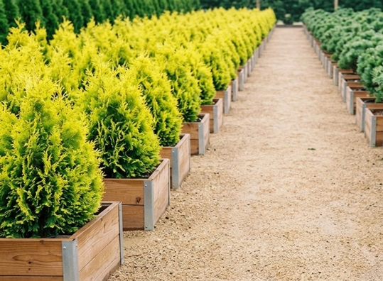 ��� ��� ����� �������� ������ � ����������