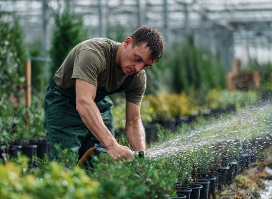 �������� ������� ��� � ������� �������� ����������� � ������������� ����
