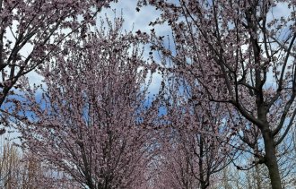 !�������!