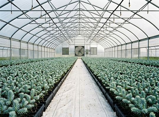 �������� �������� � ����������