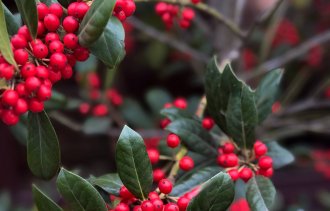 ������� � ������!