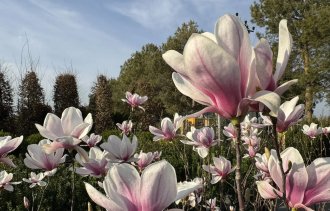 �� �����! ��������! �����!