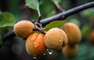 !����� ����������!