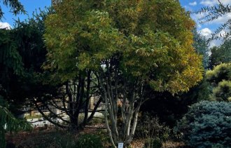 !��������� ���!