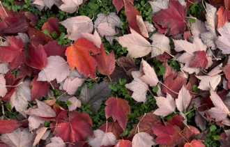 !������������ ���������� �������� � ���������� � ������!