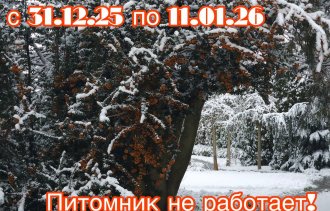 �����������!