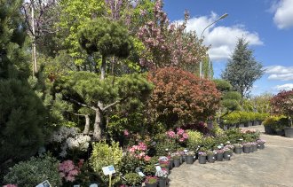 !����� ��������� ����������!