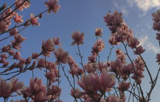 !�������� ������!