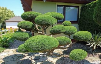 !����� �� ��������������!