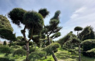 !������������ ���� � ���������!