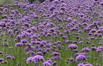 !����������� ��������!