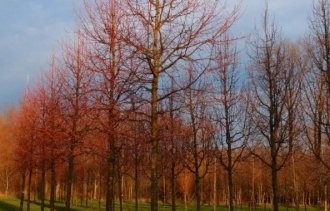 !���� ������������ ������ �����!