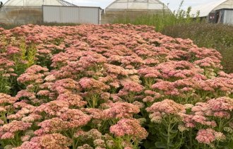 !������������ ����������� �������� � ����������!