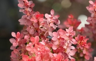 !������������ ���������� ����������� � ���������� � ������!