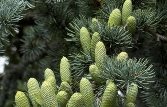 !������������ ������� �������� � ���������� � ������!