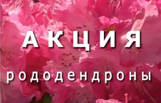 !����� �� ������������!