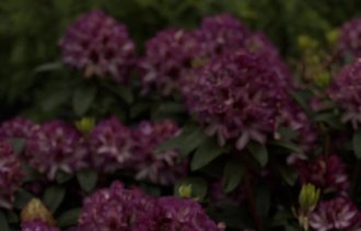 !�������� ����������!